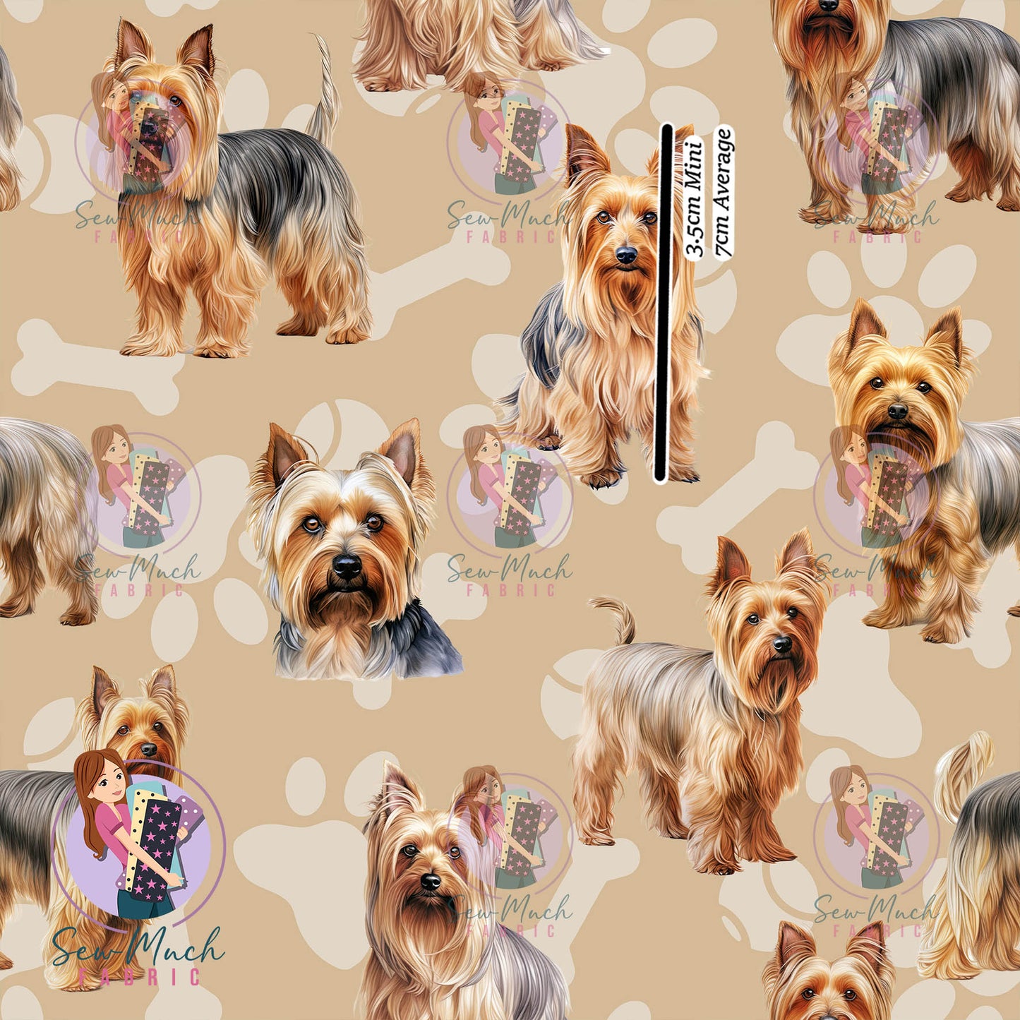 Silkie Terrier | Pre-Order |