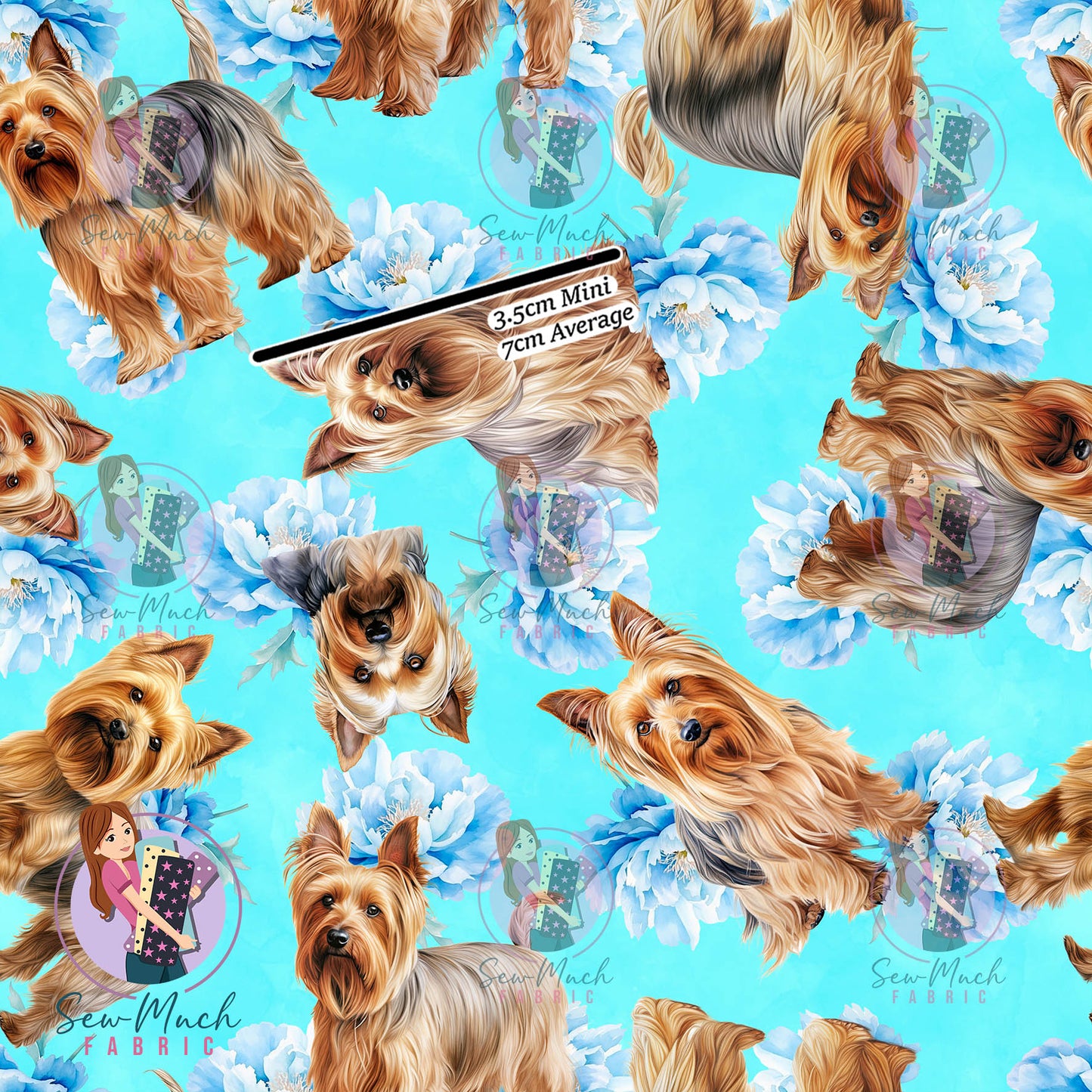 Silkie Terrier 2 | Pre-Order |