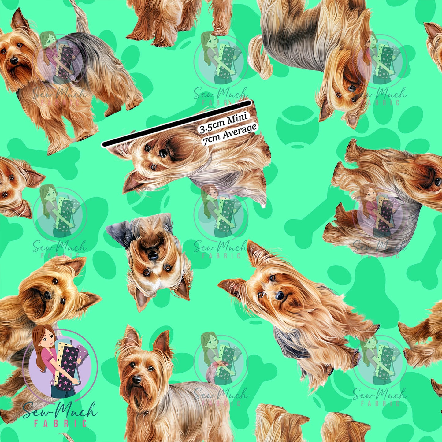 Silkie Terrier 1 | Pre-Order |