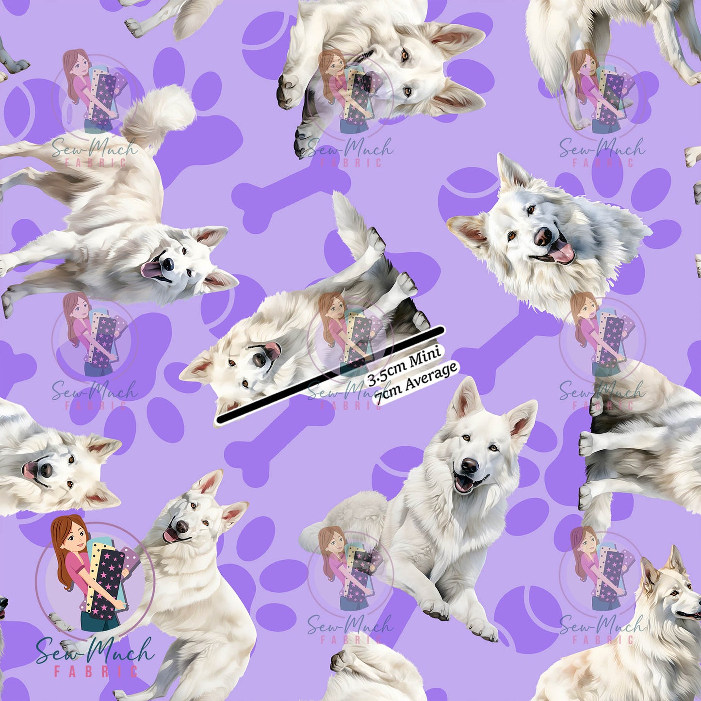 White Swiss Shepherd 1 | Pre-Order |