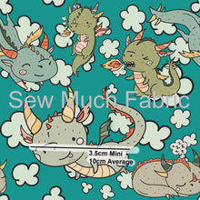 Load image into Gallery viewer, Dragons | Swim | Retail | Average Scale