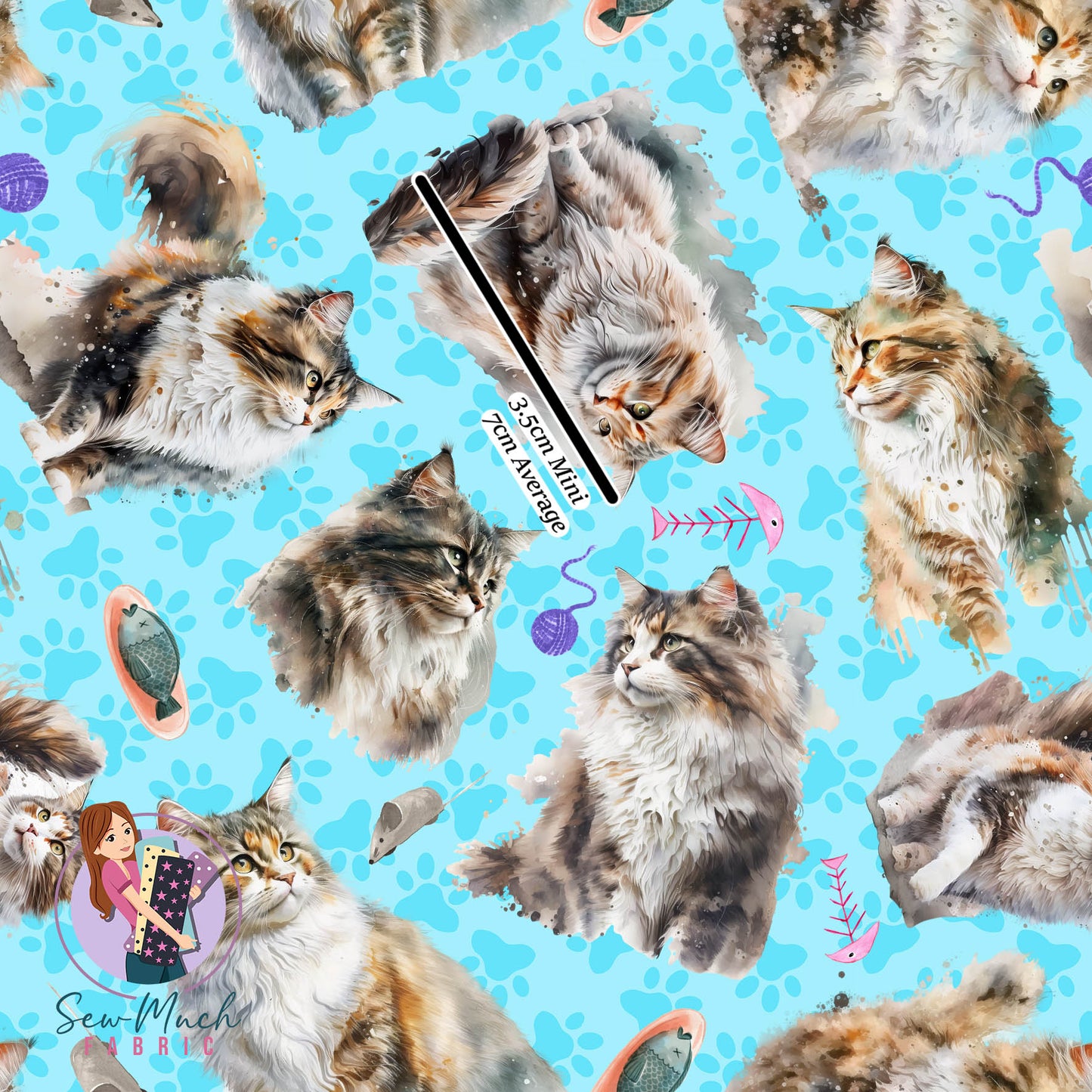 Norwegian forest cat | Pre-Order |