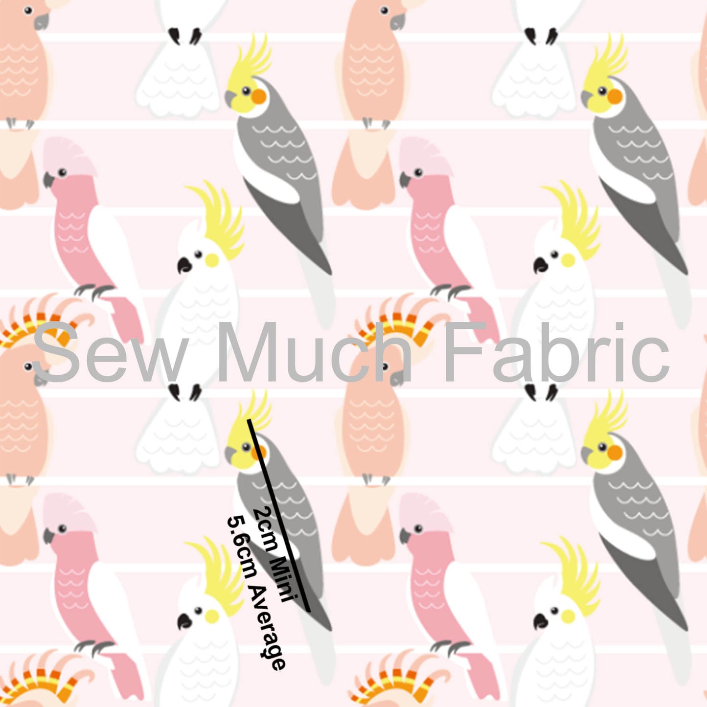 Birds | Knit 220gsm | Retail | Average scale