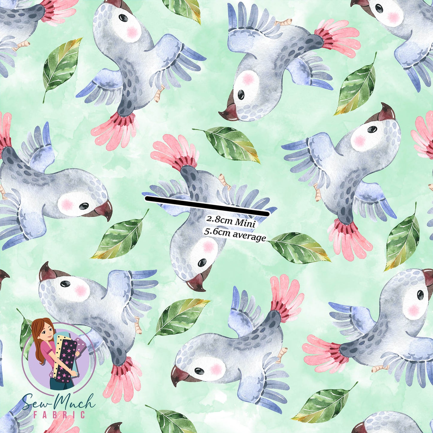 African Grey Parrot (GREEN) | Pre-Order |