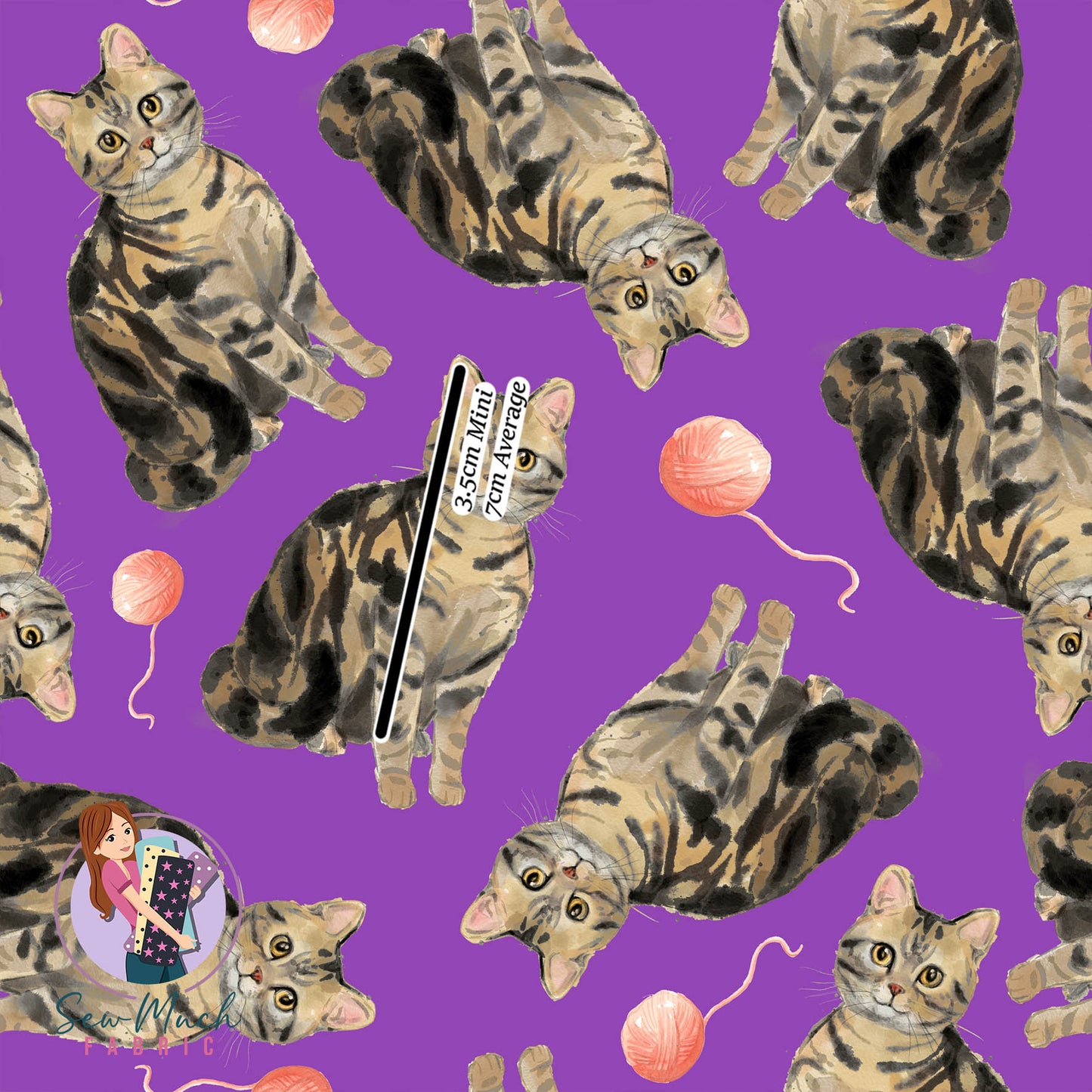 Brown Tabby | Pre-Order |