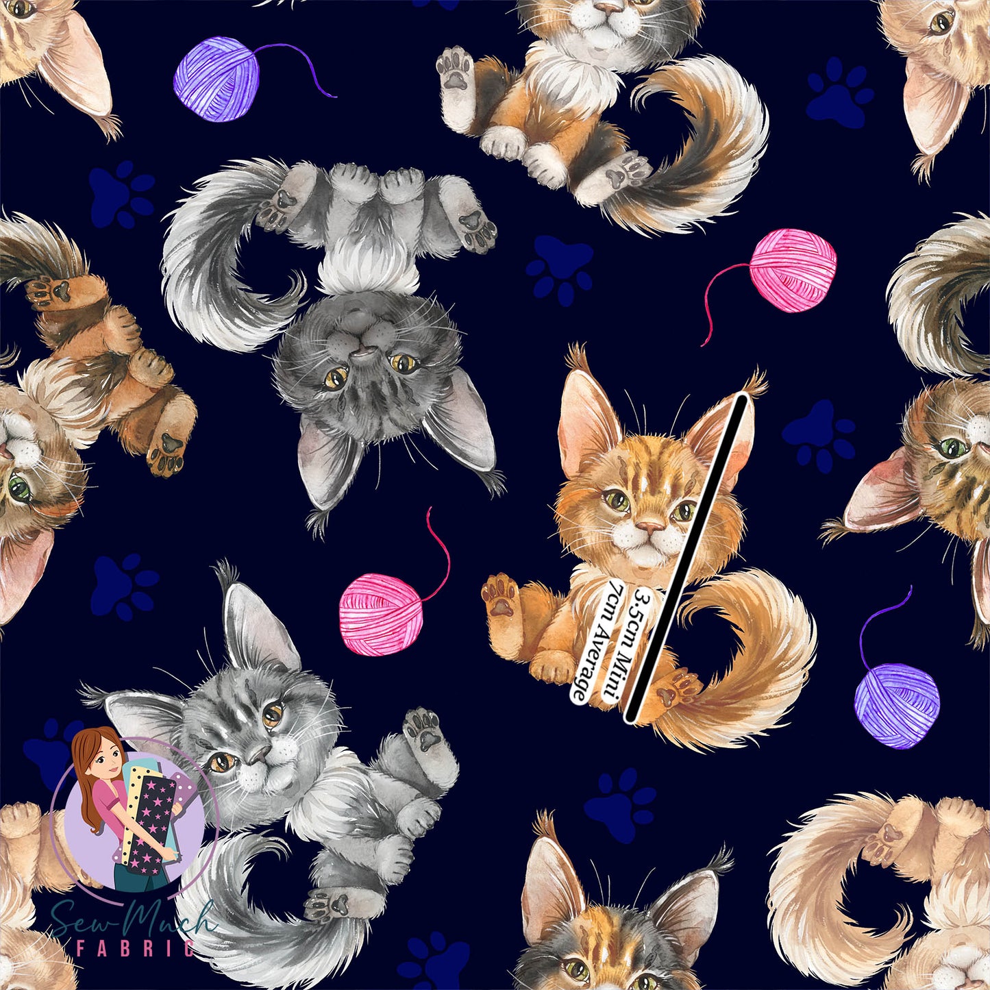 Maine Coon (3) | Pre-Order |