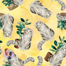 Load image into Gallery viewer, Ragamuffin | Pre-Order |