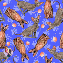 Load image into Gallery viewer, Sphynx 2.0 | Pre-Order |