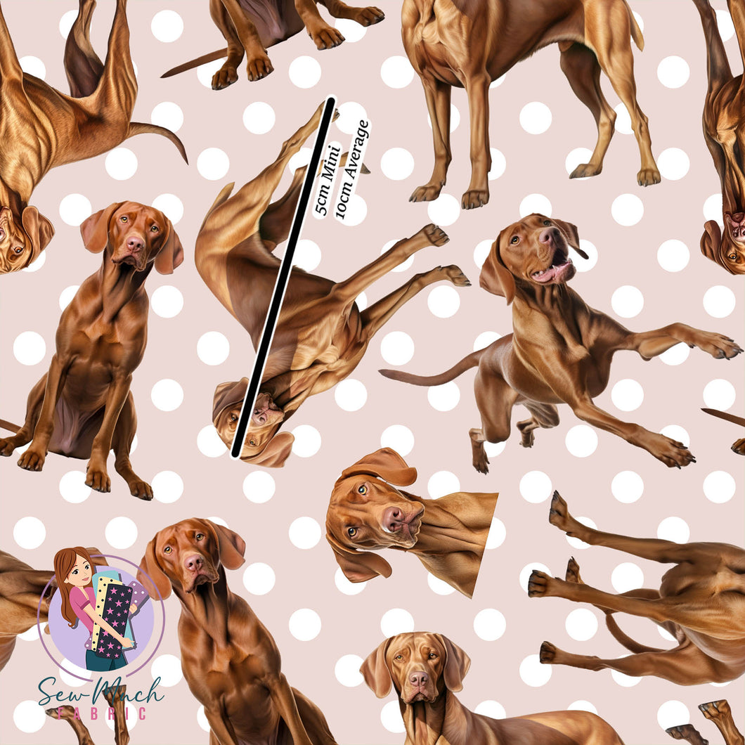 Hungarian Vizsla Polka | Woven | Retail | MINI Scale