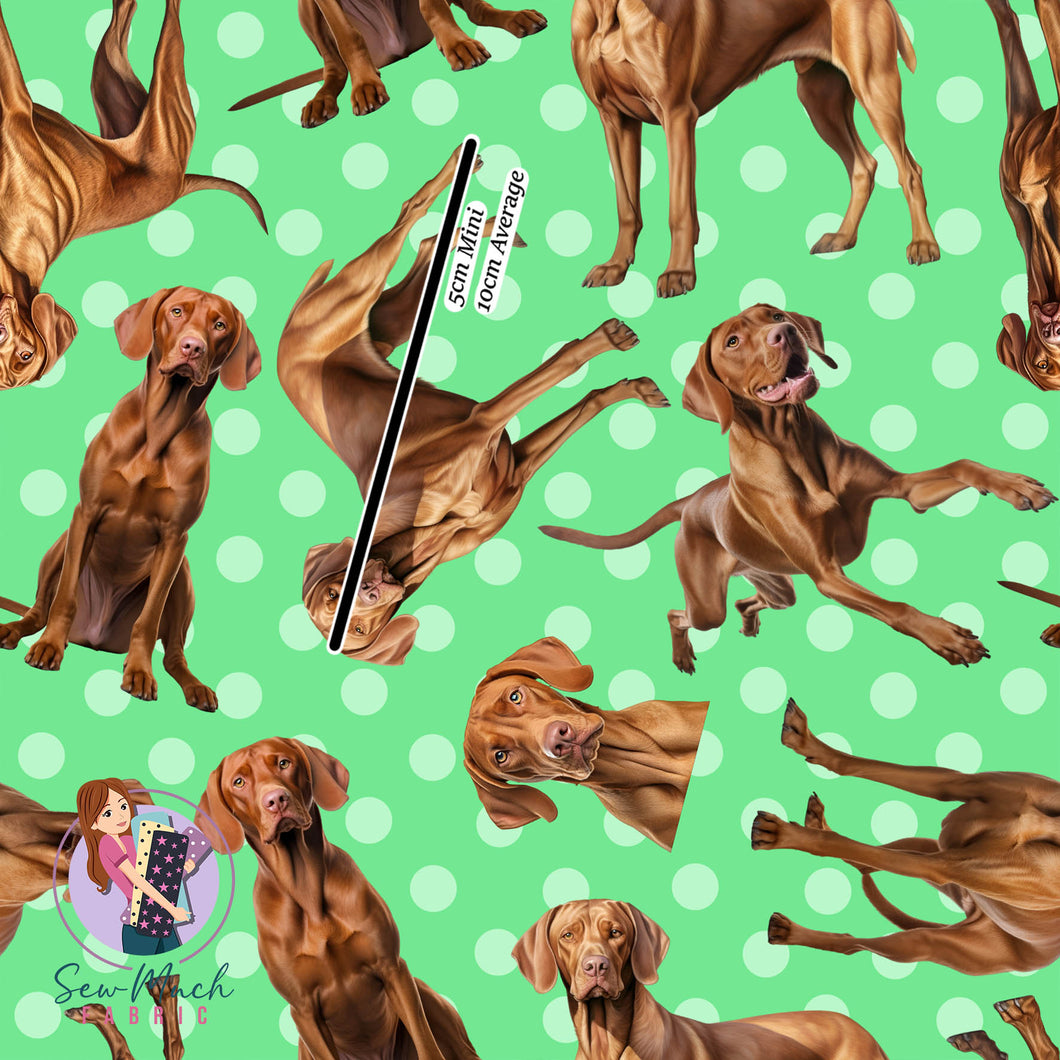 Hungarian Vizsla Green Polka - WOF x 45cm | Canvas | Retail | Average scale