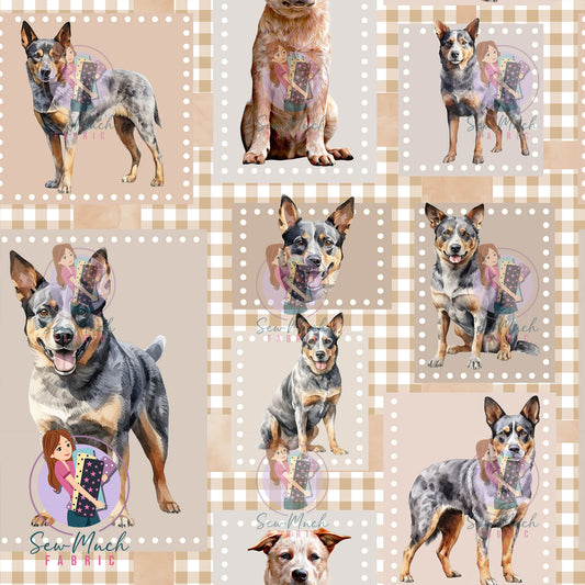 Unlimited Pre-Order: Patchwork Cattle Dog