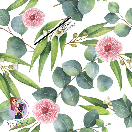 Eucalyptus | Canvas | Retail | Average Scale