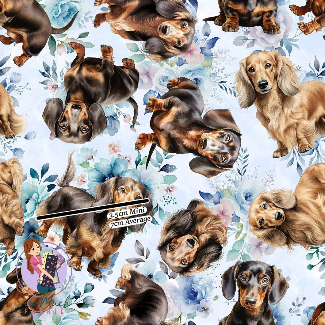 Dachshund Blue Floral | Canvas | Retail | Average Scale