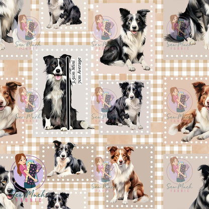 Unlimited Pre-Order: Patchwork Border Collie