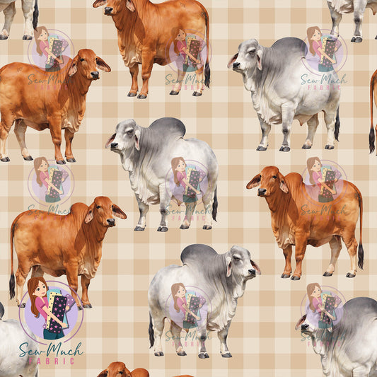 Unlimited Pre-Order: Brahman Cow