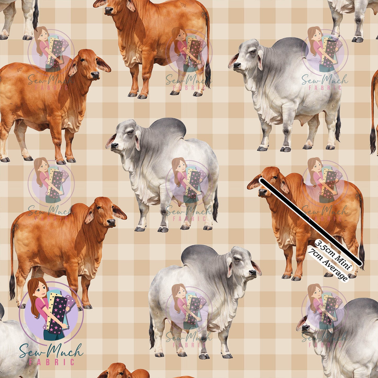 Unlimited Pre-Order: Brahman Cow