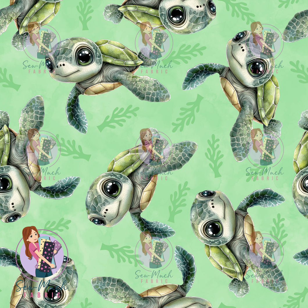 NOVEMBER Pre-Order (2): Green turtles