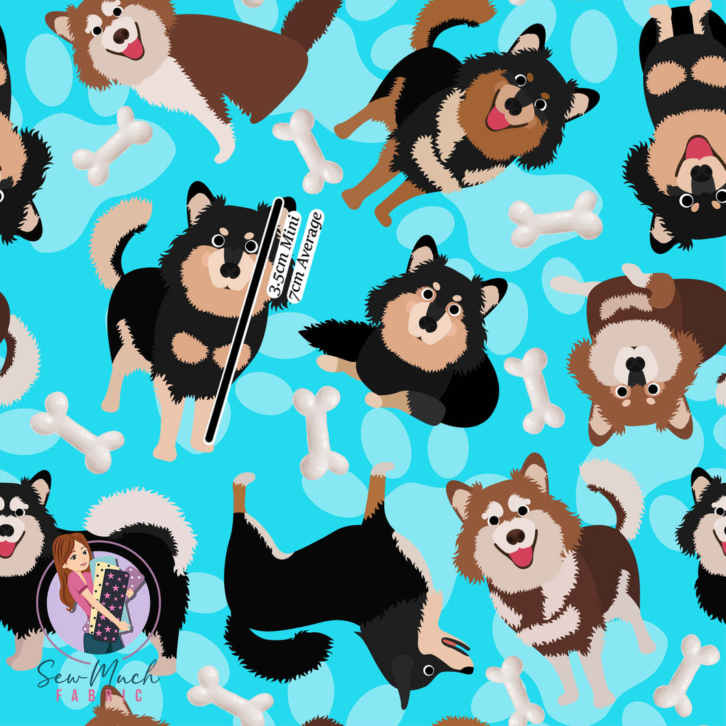 Finnish Lapphund BLUE | Canvas | Retail | Average Scale