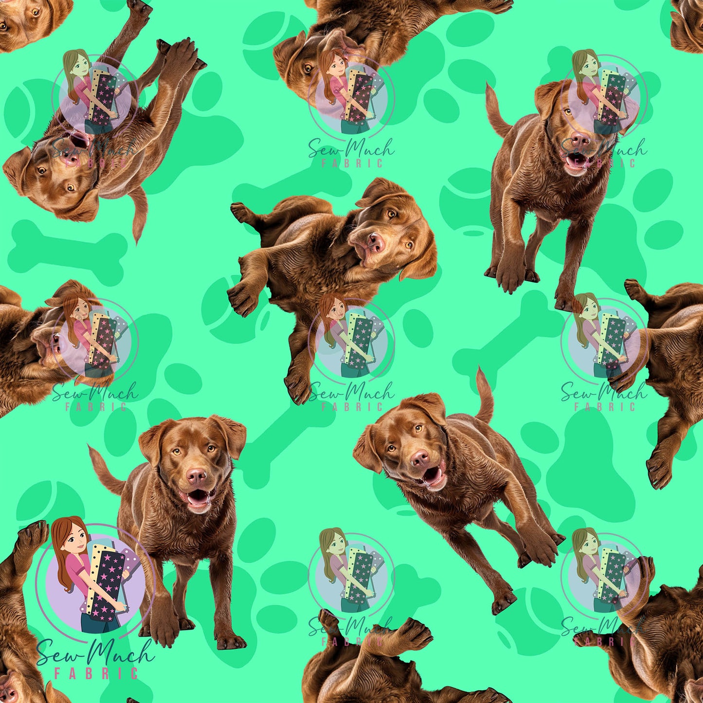 JULY Pre-Order (1): Chesapeake Bay Retriever