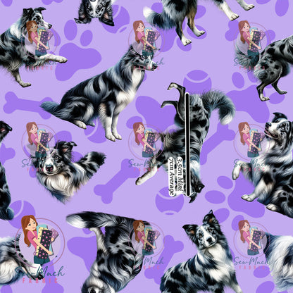 AUGUST Pre-Order (2): Blue Merle Border Collie Purple