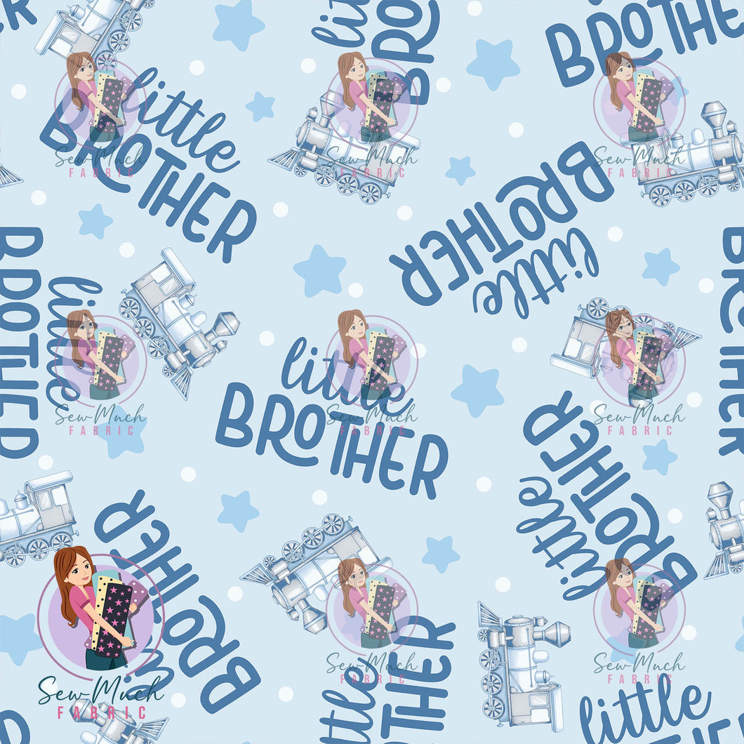 SEPTEMBER Pre-Order (2): Little Brother