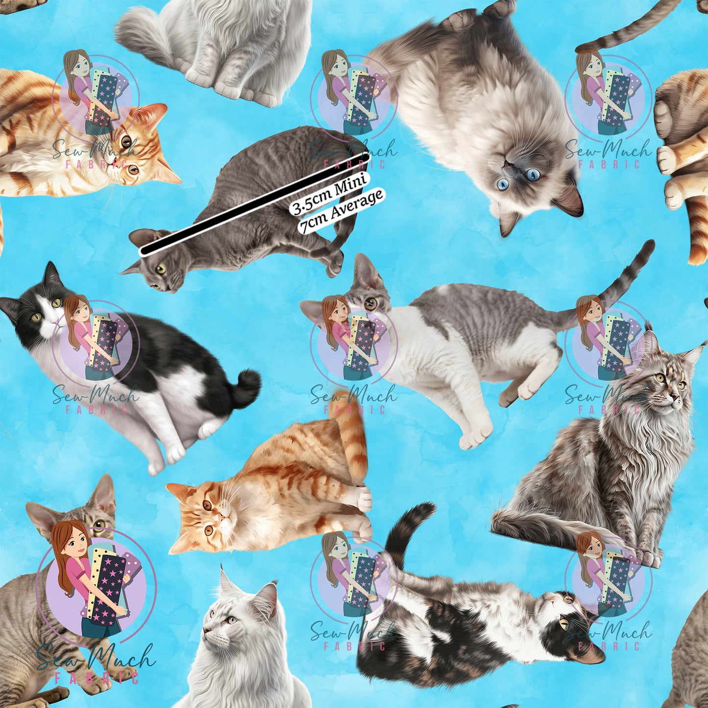 AUGUST Pre-Order (1): Cats Blue