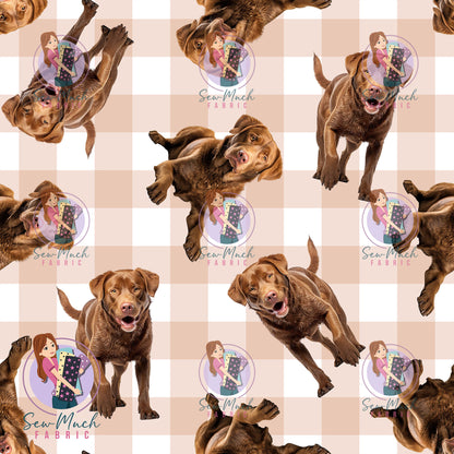 JULY Pre-Order (1): Chesapeake Bay Retriever Gingham