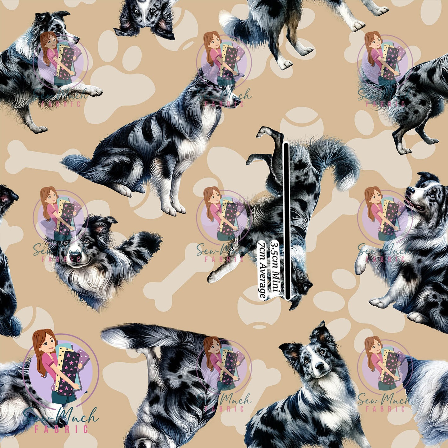 AUGUST Pre-Order (2): Blue Merle Border Collie Beige