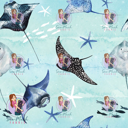 SEPTEMBER Pre-Order (2): Rays