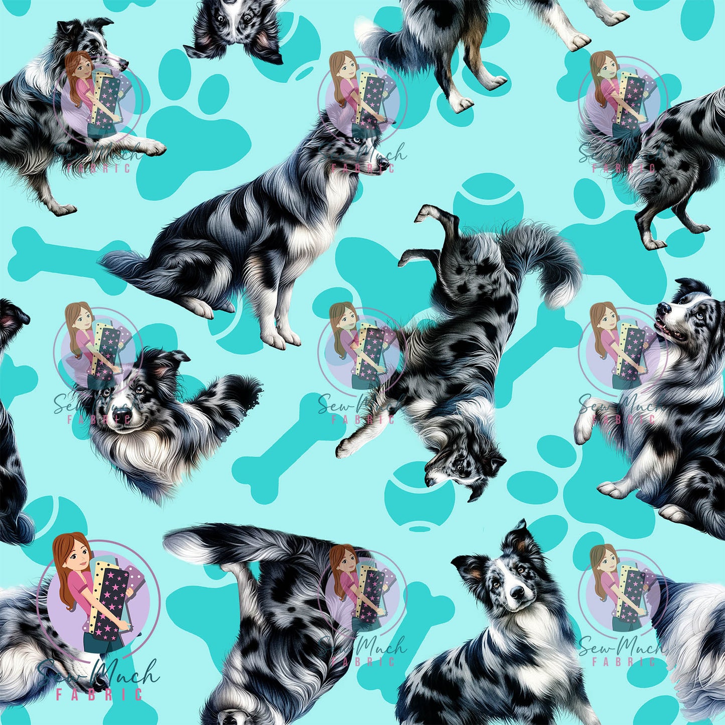 AUGUST Pre-Order (2): Blue Merle Border Collie Teal