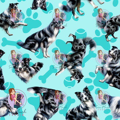 AUGUST Pre-Order (2): Blue Merle Border Collie Teal