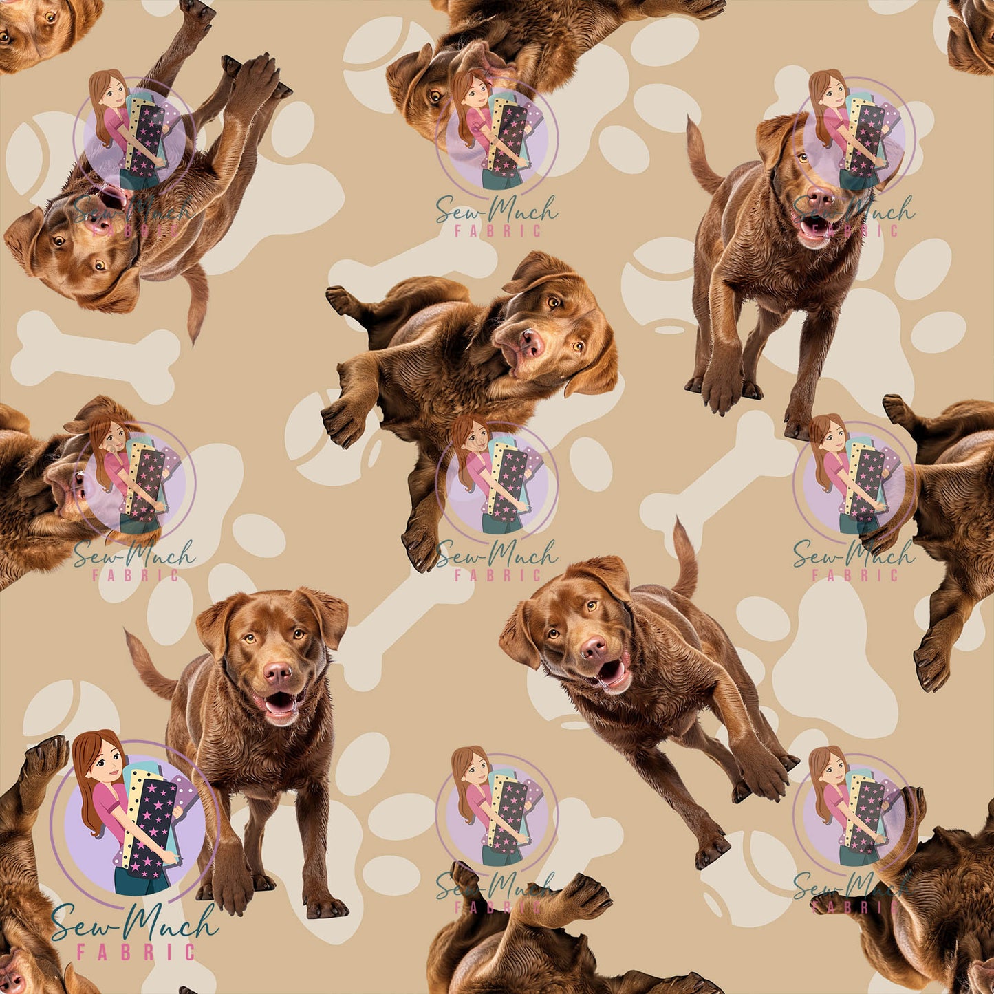 JULY Pre-Order (1): Chesapeake Bay Retriever Beige
