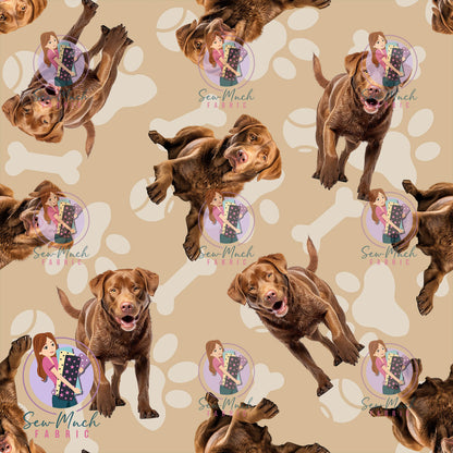 JULY Pre-Order (1): Chesapeake Bay Retriever Beige
