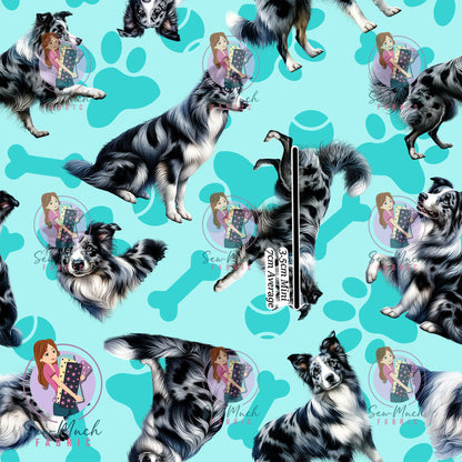 AUGUST Pre-Order (2): Blue Merle Border Collie Teal