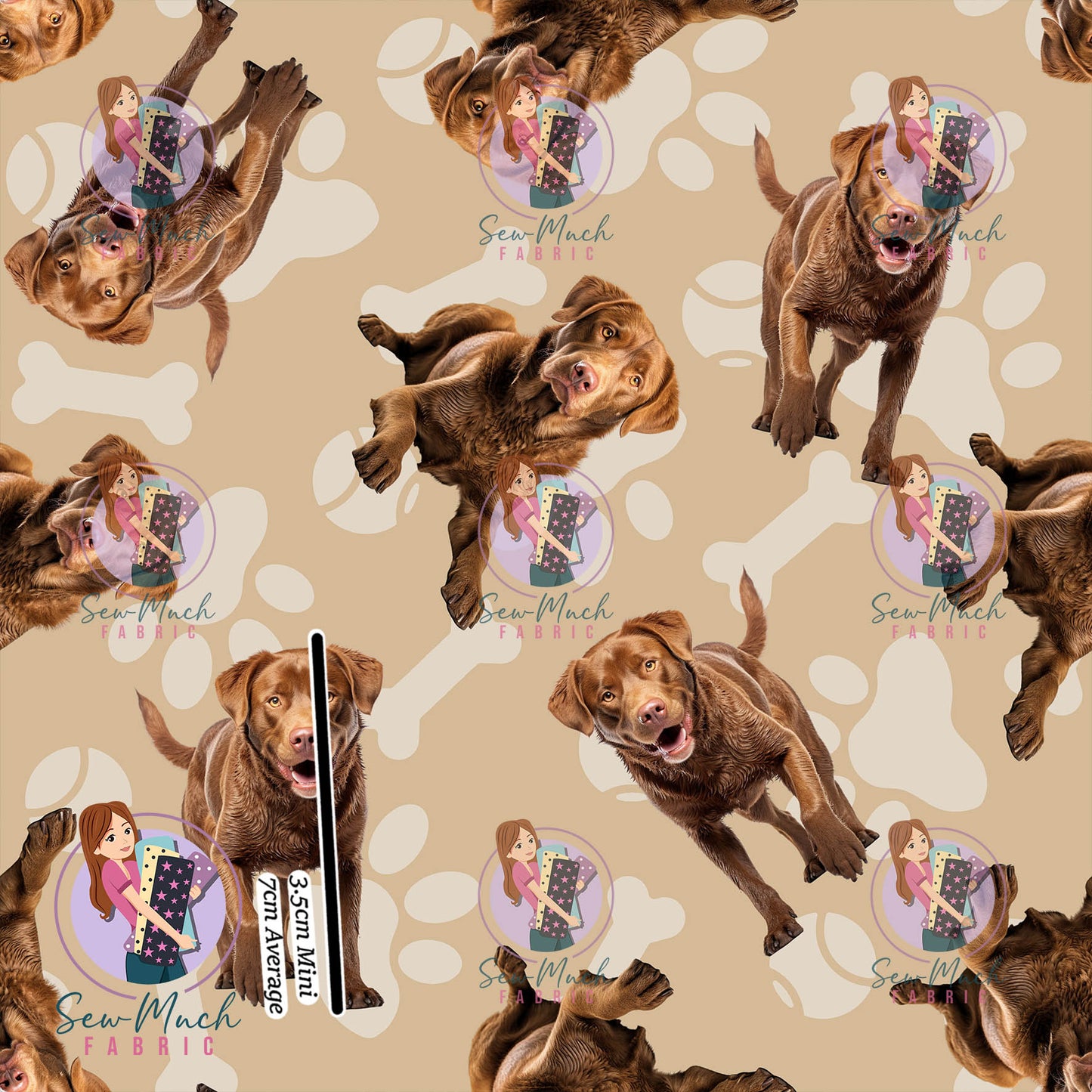 JULY Pre-Order (1): Chesapeake Bay Retriever Beige
