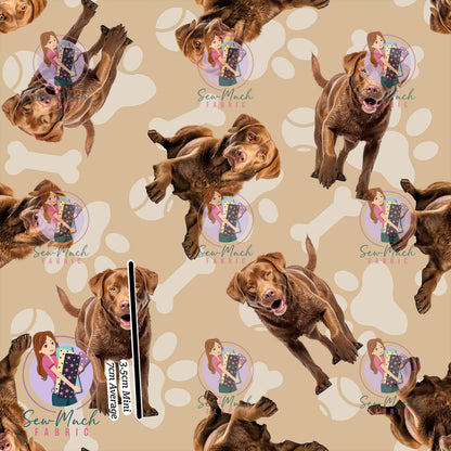 JULY Pre-Order (1): Chesapeake Bay Retriever Beige