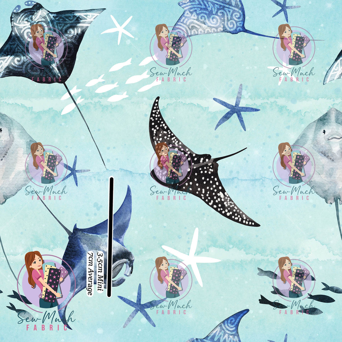 SEPTEMBER Pre-Order (2): Rays