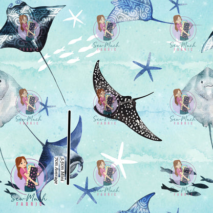 SEPTEMBER Pre-Order (2): Rays