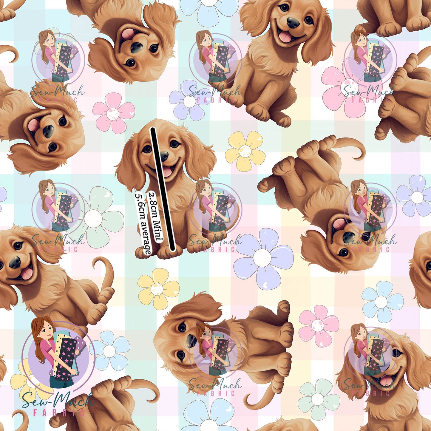 SEPTEMBER Pre-Order (1): Cocker Spaniel Daisy