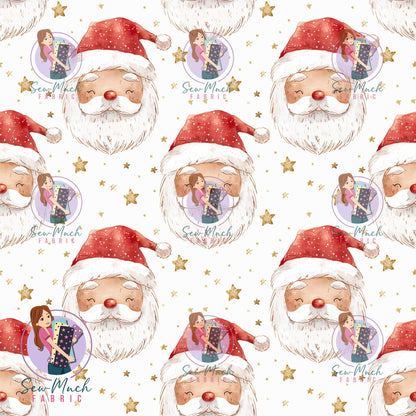 CHRISTMAS Pre-Order: North Pole Collection- Santa