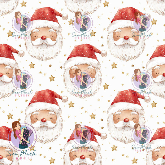 CHRISTMAS Pre-Order: North Pole Collection- Santa