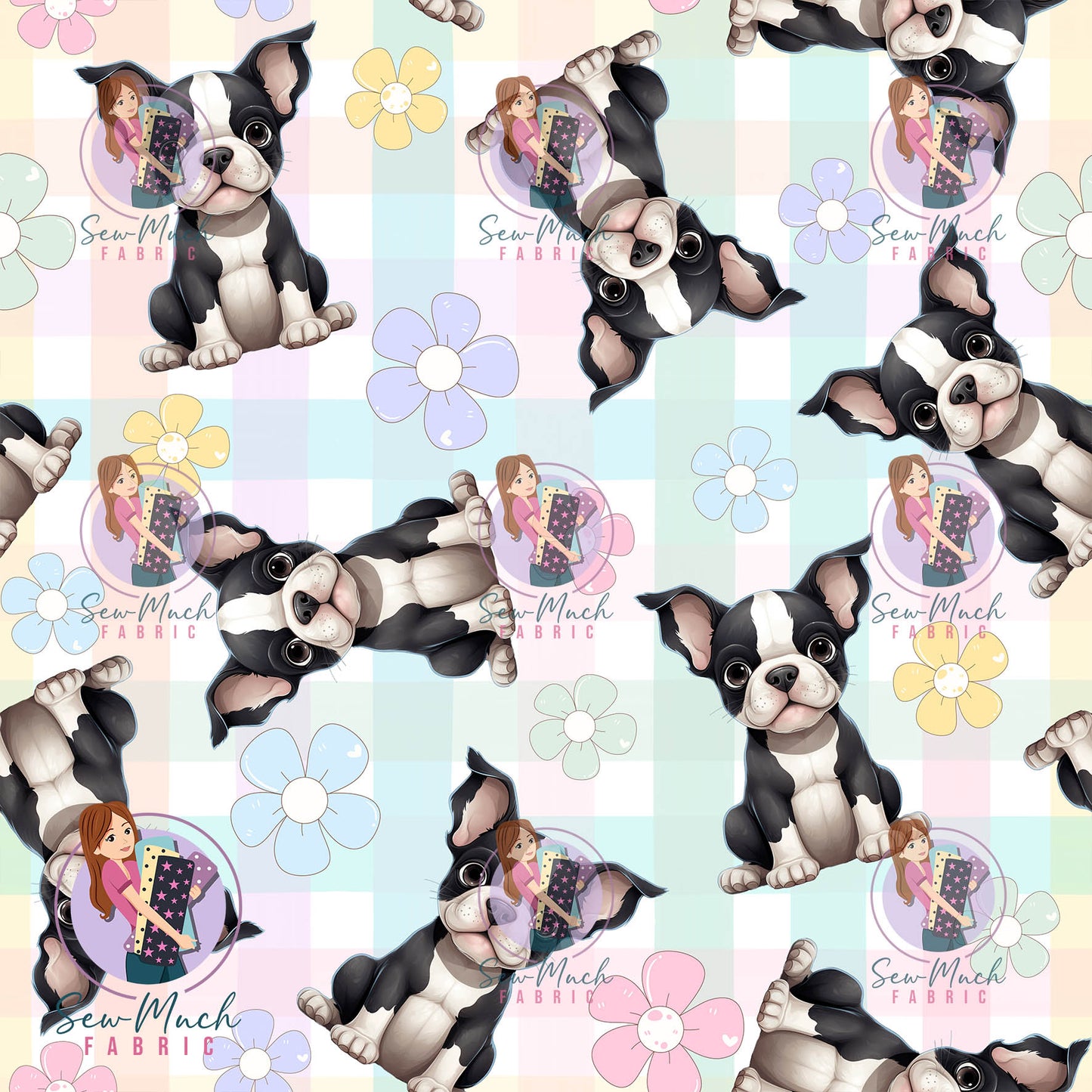 SEPTEMBER Pre-Order (1): Boston Terrier Daisy