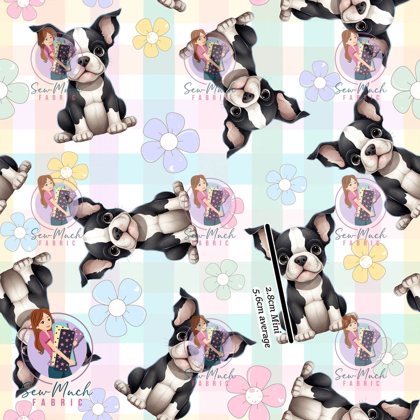 SEPTEMBER Pre-Order (1): Boston Terrier Daisy