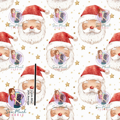 CHRISTMAS Pre-Order: North Pole Collection- Santa