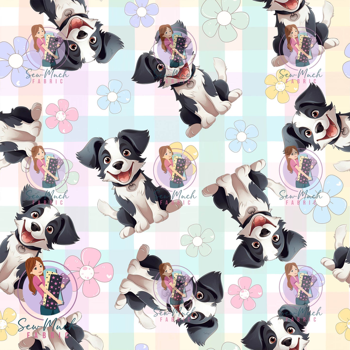 SEPTEMBER Pre-Order (1): Border Collie Daisy