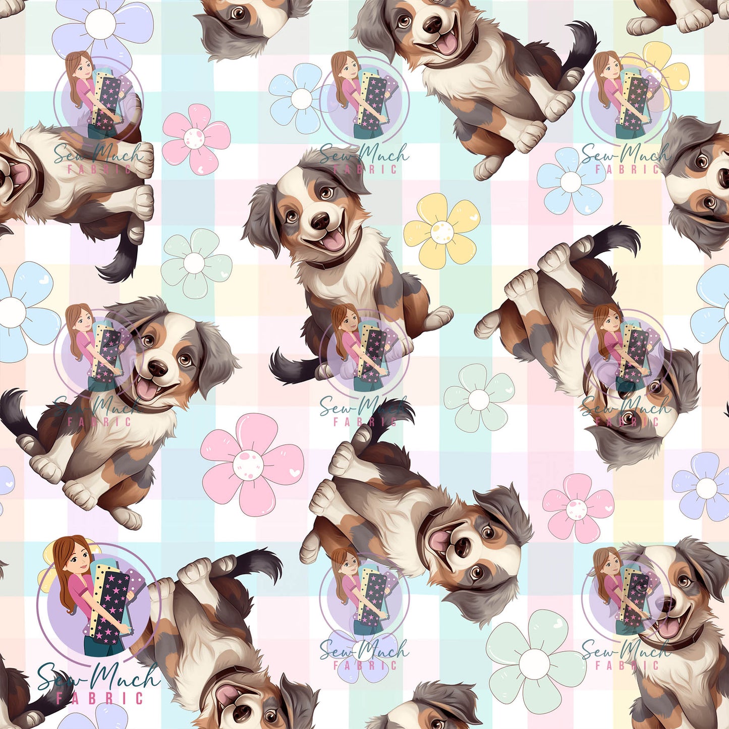 SEPTEMBER Pre-Order (1): Australian Shepherd Daisy