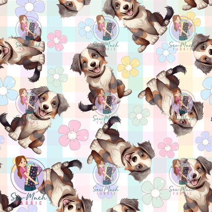 SEPTEMBER Pre-Order (1): Australian Shepherd Daisy