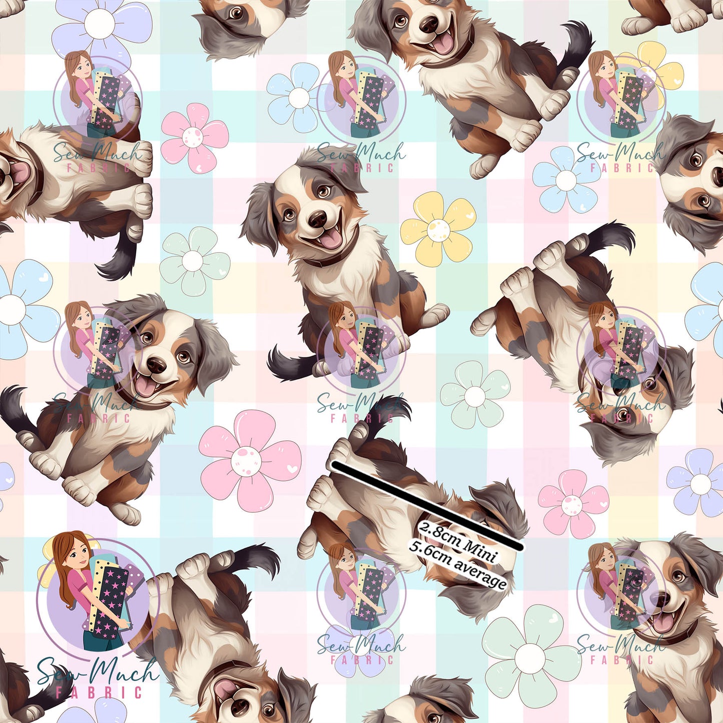 SEPTEMBER Pre-Order (1): Australian Shepherd Daisy