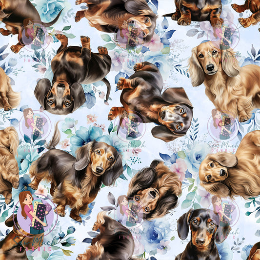 Unlimited Pre-Order: Dachshund Blue Floral
