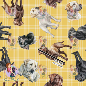 Labrador Plaid | Woven | Retail | Average Scale